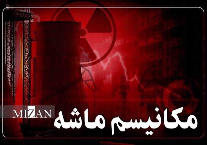 تاثیرگذاری سمن‌ها در مقابله با اسنپ‌بک