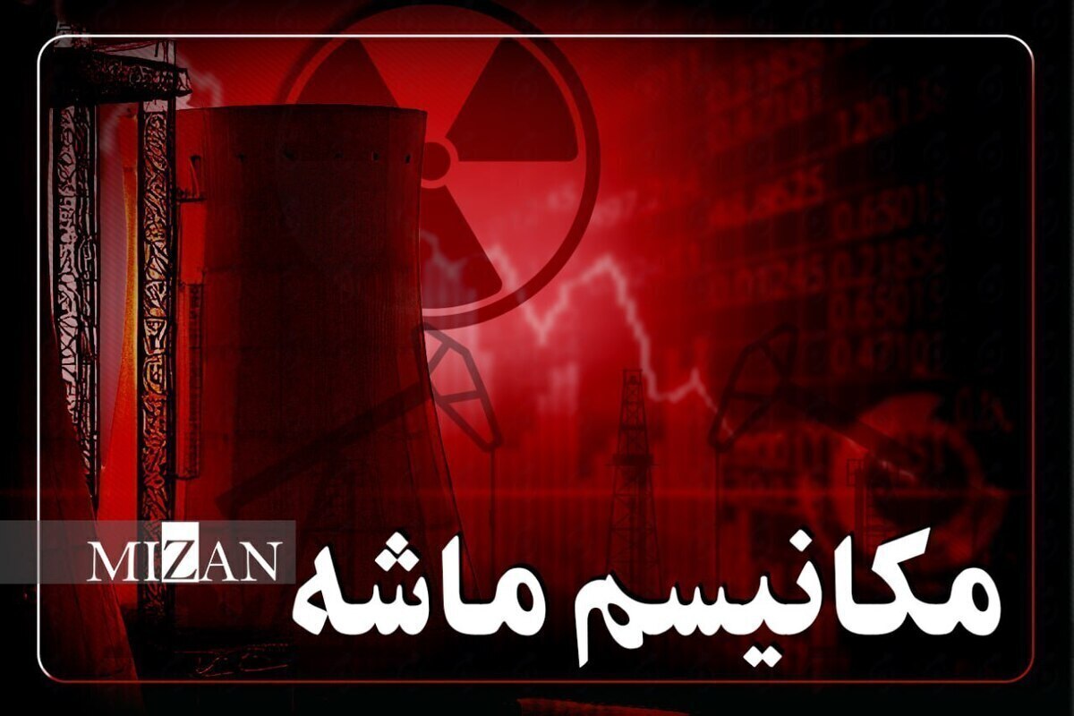 تاثیرگذاری سمن‌ها در مقابله با اسنپ‌بک