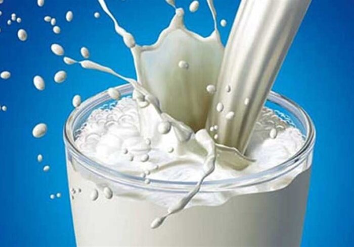 شیر مدارس میان ادعای تولید و قرارداد گم شده