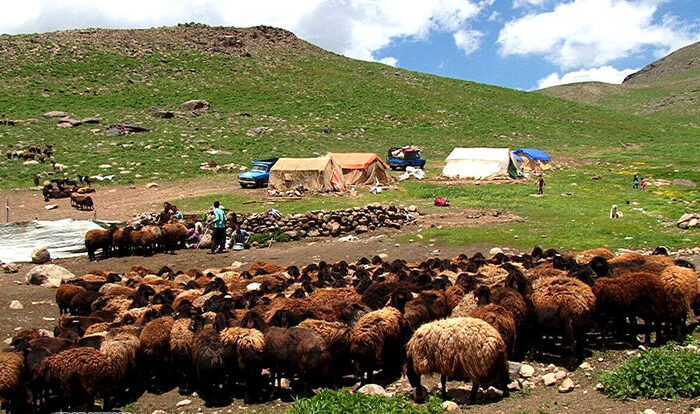 عشایر ایلام؛ ستون پنهان پایداری غرب کشور در سایه کمبود زیرساخت‌ها