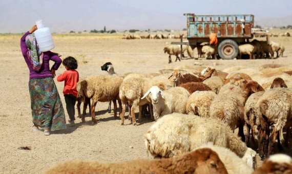 عشایر ایلام؛ ستون پنهان پایداری غرب کشور در سایه کمبود زیرساخت‌ها