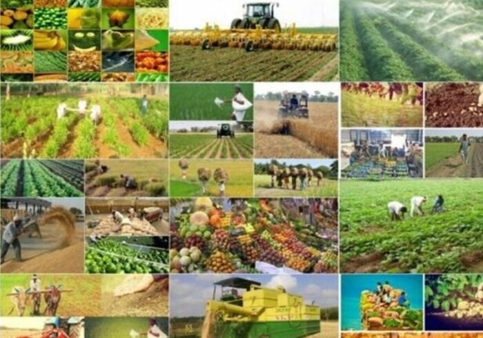 هیچ آمار کاربردی دقیقی در کشاورزی نداریم!