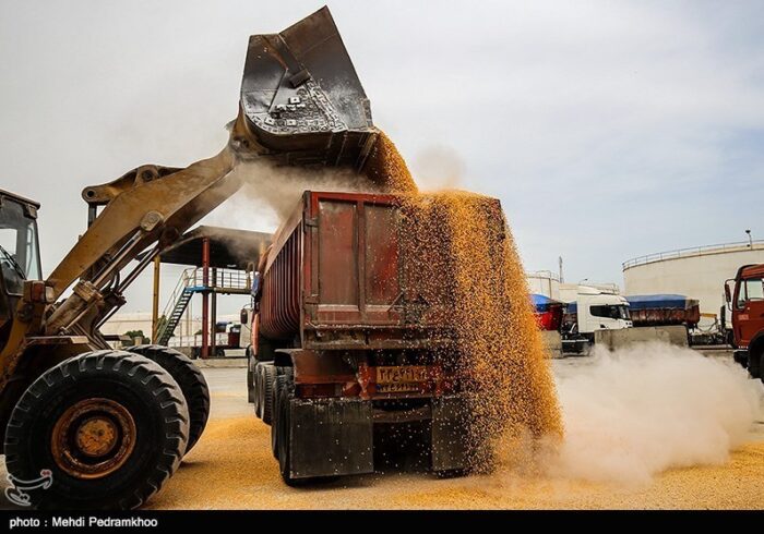 آغاز توزیع نهاده‌های دامی تحت کلید دولت/ امضای طلایی برنگردد