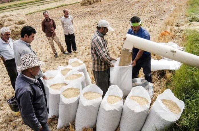 اندازه بازار جهانی ماشین آلات آسیاب برنج تا ۲۰۳۰ | ماشین آلات دست دوم؛ مانع گسترش بازار