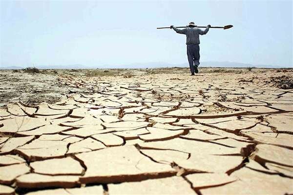 خشکسالی ۴۰ همتی بزرگ‌ترین خسارت سال‌های اخیر کشاورزی خوزستان بود