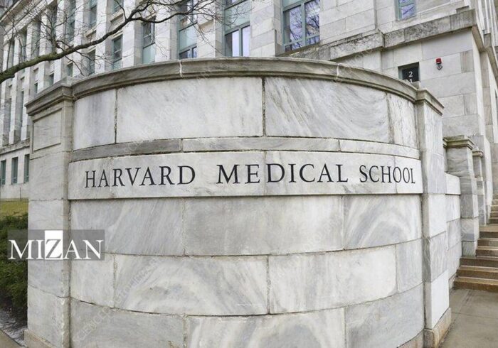 رسوایی دانشگاه هاروارد؛ سرقت و فروش اعضای بدن اجساد اهدایی برای کسب درآمد