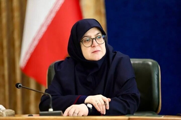 سخنگوی دولت وارد استان قزوین شد