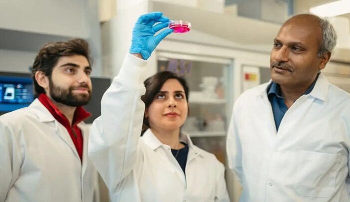 محقق ایرانی روش نوینی برای درمان زخم و تولید گوشت ابداع کرد