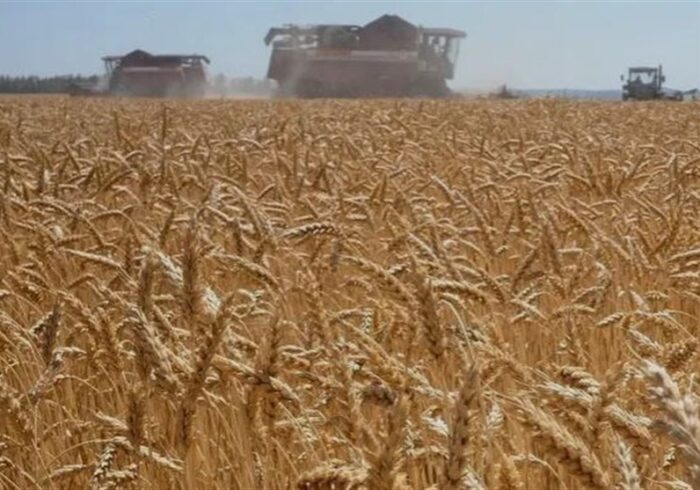 ورود کشتی‌های بزرگ گندم به کشور/ ذخایر راهبردی تقویت می‌شود