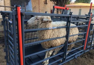 پیش بینی بازار ۸۴میلیارد دلاری تجهیزات دامپروری تا ۲۰۳۲