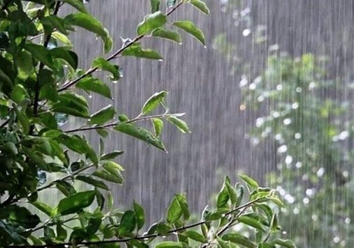 پیش بینی هوای تهران فردا ۱۹ آذر ۱۴۰۴/ تهران در آستانه بارش شدید