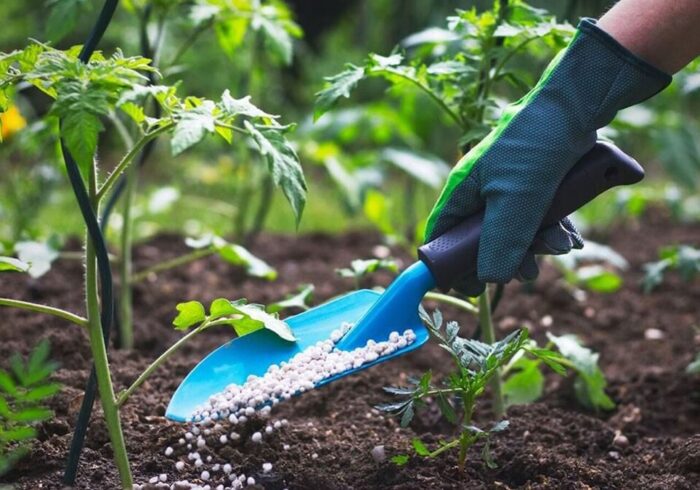 چگونه باغچه‌ای سرسبز و پرمحصول داشته باشیم؟