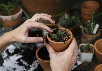 باغبانی، خطر درد زانو و آرتروز را کاهش می‌دهد