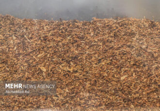 ۲۷ درصد بازار سیگار و ۹۳ درصد بازار تنباکو در اختیار قاچاقچیان است