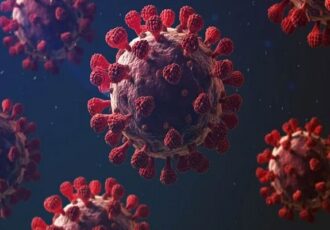 شناسایی دو ویروس حیوانی نوظهور به عنوان تهدیدات بالقوه سلامت جهانی