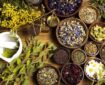 مصرف خودسرانه فرآورده‌های گیاهی خطرناک است 