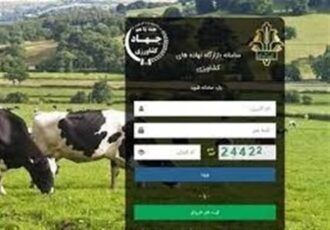 2 میلیون تن نهاده در بازارگاه بارگذاری شد/رفع منع صادرات مازاد تولید
