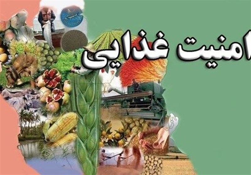 زیرساخت‌های امنیت غذایی کشور مستحکم است