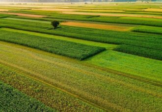 4 میلیون هکتار مراتع کشور در سال 1404 حفظ و احیا شد