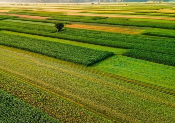 4 میلیون هکتار مراتع کشور در سال 1404 حفظ و احیا شد