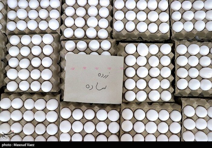 قیمت تخم مرغ کاهش می‌یابد