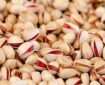 محدودیت‌های اتحادیه اروپا بر صادرات پسته ایران برداشته شد