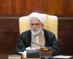 منتظری: مشورت قضات در پرونده‌های حساس منافاتی با استقلال ندارد