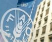 نماینده ایران در فائو: تنگه هرمز پیش از تجاوز علیه ایران باز بود