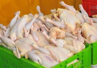 چرا مرغ در بازار کم شد؟