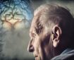 مصرف نمک می‌تواند مشکلات حافظه را تشدید کند