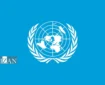 درخواست گزارشگران حقوق بشری سازمان ملل از آمریکا و رژیم صهیونیستی برای پاسخگویی و مسئولیت‌پذیری در حملات به مدرسه میناب