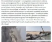 مسئولیت هدف قرار دادن زیرساخت‌های ایران برعهده دولت آمریکا و همدستان آن است
