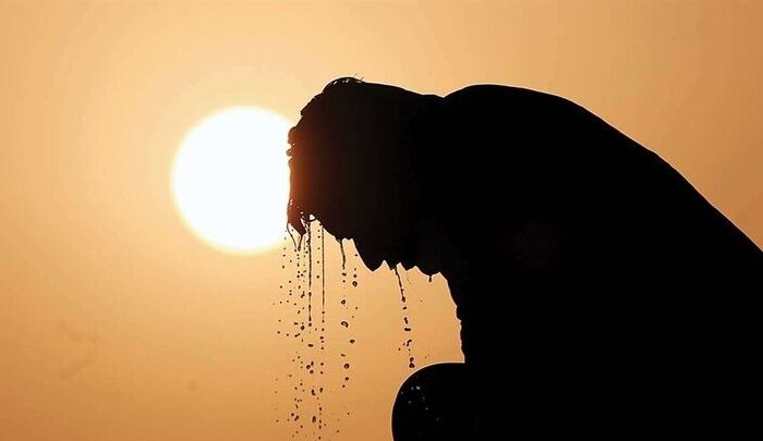 تلفات بی‌سابقه گرما در آلمان