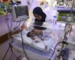 زندگی‌های کوتاه و مادرانگی‌های ناتمام زیر فشار نسل‌کشی رژیم صهیونیستی در غزه
