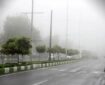 گرمای ۵۰ درجه و رطوبت ۱۰۰ درصدی در استان بوشهر؛ وضعیت نارنجی در شهرهای ساحلی
