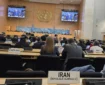 ابراز نگرانی کمیسر عالی حقوق بشر سازمان ملل درباره حمله آمریکا به یک مراسم عروسی در سیریک