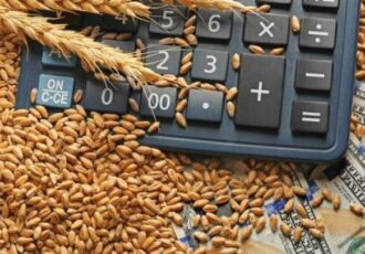 خرید گندم توسط دلالان تا ۶۰ هزار تومان در مناطق مرزی