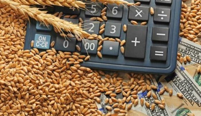 خرید گندم توسط دلالان تا ۶۰ هزار تومان در مناطق مرزی