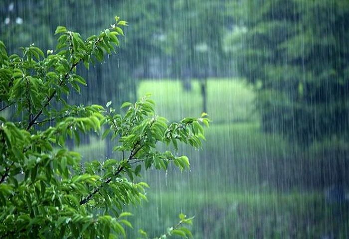 هشدار بارندگی سیل آسا در سواحل شمالی و جنوب کشور| کاهش دما در شمال‌غرب